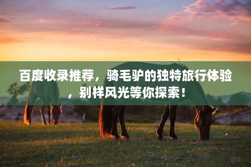 百度收錄推薦，騎毛驢的獨特旅行體驗，別樣風光等你探索！