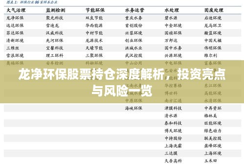 龍凈環(huán)保股票持倉深度解析，投資亮點與風險一覽