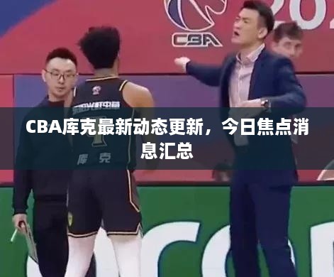 CBA庫克最新動態(tài)更新，今日焦點(diǎn)消息匯總