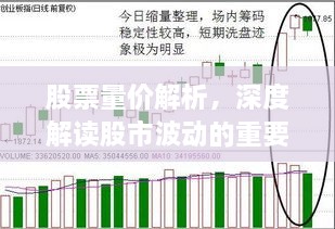 股票量價解析，深度解讀股市波動的重要指標(biāo)！