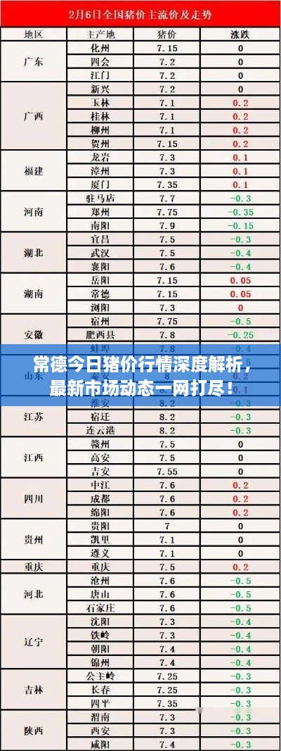 常德今日豬價(jià)行情深度解析，最新市場(chǎng)動(dòng)態(tài)一網(wǎng)打盡！