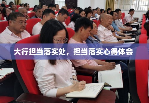大行擔(dān)當(dāng)落實處，擔(dān)當(dāng)落實心得體會 