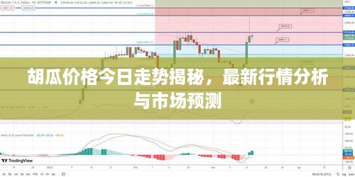 胡瓜價(jià)格今日走勢(shì)揭秘，最新行情分析與市場(chǎng)預(yù)測(cè)
