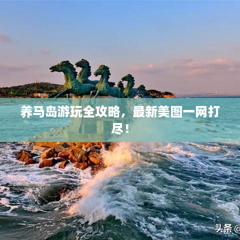 養(yǎng)馬島游玩全攻略，最新美圖一網(wǎng)打盡！