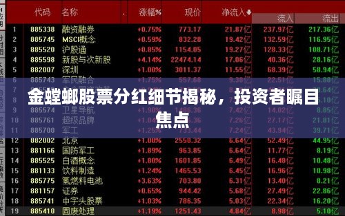 金螳螂股票分紅細(xì)節(jié)揭秘，投資者矚目焦點(diǎn)
