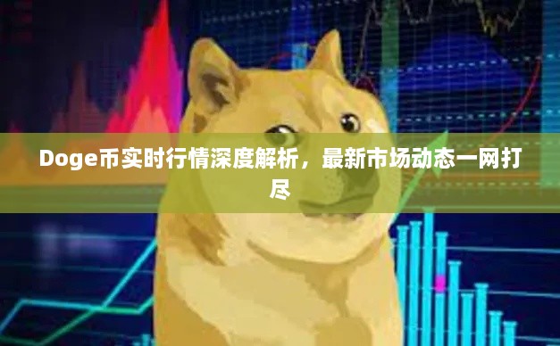 Doge幣實(shí)時(shí)行情深度解析，最新市場動(dòng)態(tài)一網(wǎng)打盡