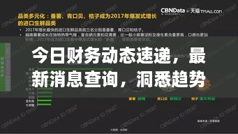 今日財務(wù)動態(tài)速遞，最新消息查詢，洞悉趨勢，掌握財經(jīng)動態(tài)