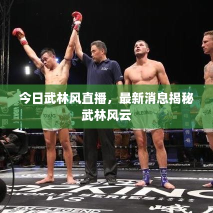 今日武林風(fēng)直播，最新消息揭秘武林風(fēng)云