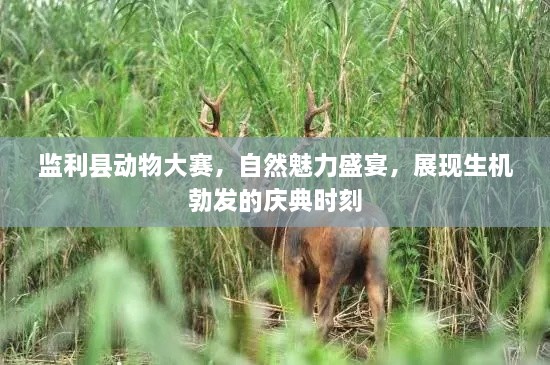 監(jiān)利縣動物大賽，自然魅力盛宴，展現(xiàn)生機(jī)勃發(fā)的慶典時刻