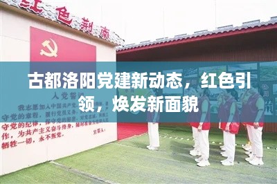 古都洛陽黨建新動態(tài)，紅色引領，煥發(fā)新面貌