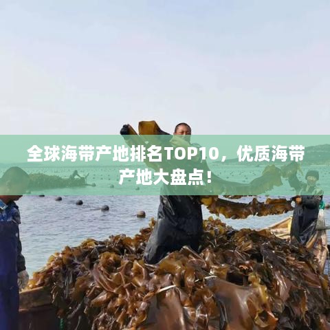 全球海帶產(chǎn)地排名TOP10，優(yōu)質(zhì)海帶產(chǎn)地大盤點(diǎn)！
