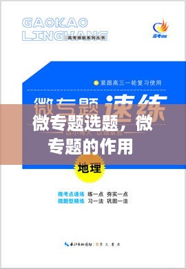 微專題選題，微專題的作用 