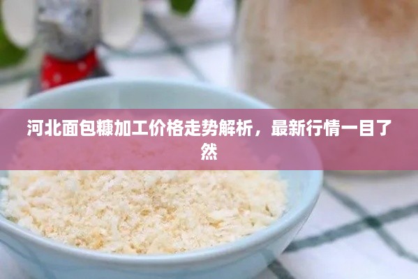 河北面包糠加工價(jià)格走勢(shì)解析，最新行情一目了然