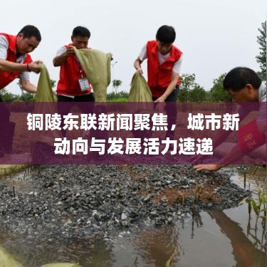 銅陵?yáng)|聯(lián)新聞聚焦，城市新動(dòng)向與發(fā)展活力速遞
