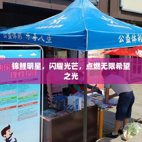錦鯉明星，閃耀光芒，點(diǎn)燃無限希望之光