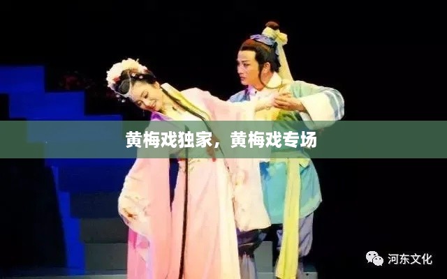 黃梅戲獨(dú)家，黃梅戲?qū)?chǎng) 
