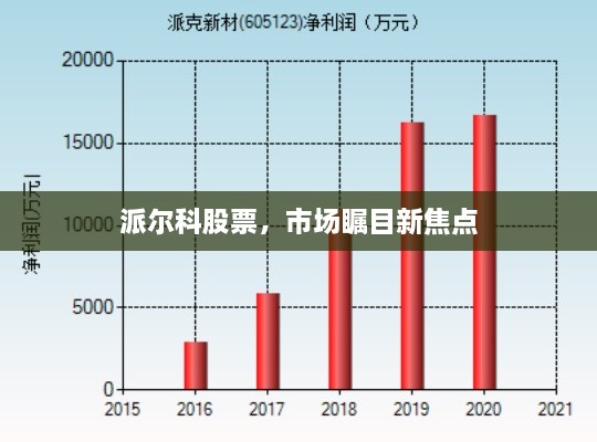 派爾科股票，市場(chǎng)矚目新焦點(diǎn)