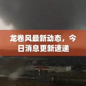 龍卷風(fēng)最新動態(tài)，今日消息更新速遞