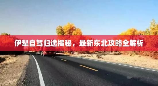伊犁自駕歸途揭秘，最新東北攻略全解析
