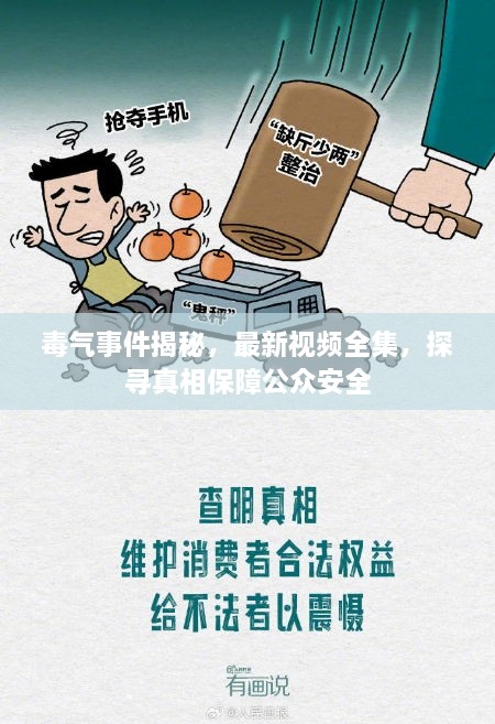 毒氣事件揭秘，最新視頻全集，探尋真相保障公眾安全