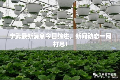 寧武最新消息今日綜述，新聞動態(tài)一網(wǎng)打盡！