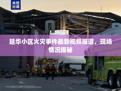 延華小區(qū)火災(zāi)事件最新視頻報道，現(xiàn)場情況揭秘
