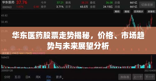 華東醫(yī)藥股票走勢(shì)揭秘，價(jià)格、市場(chǎng)趨勢(shì)與未來(lái)展望分析