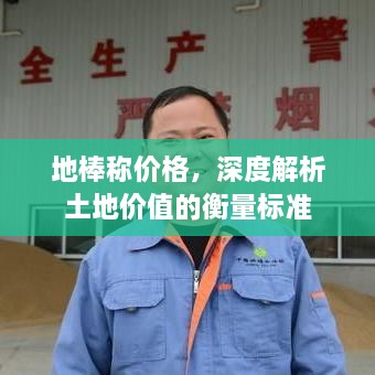 地棒稱價格，深度解析土地價值的衡量標準