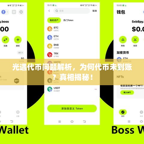 光遇代幣問題解析，為何代幣未到賬？真相揭秘！