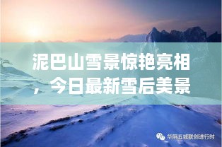泥巴山雪景驚艷亮相，今日最新雪后美景報道！