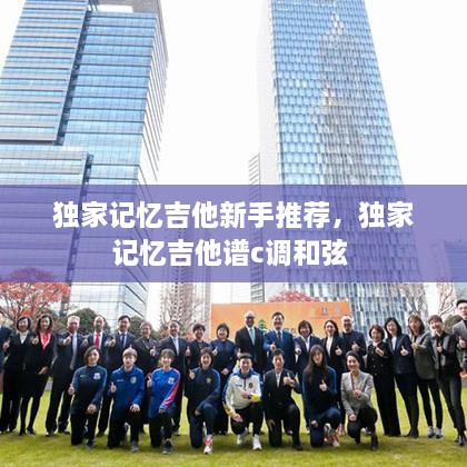獨(dú)家記憶吉他新手推薦，獨(dú)家記憶吉他譜c調(diào)和弦 