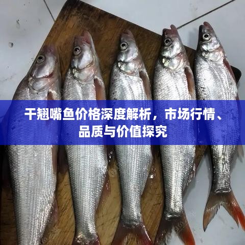 干翹嘴魚價格深度解析，市場行情、品質(zhì)與價值探究