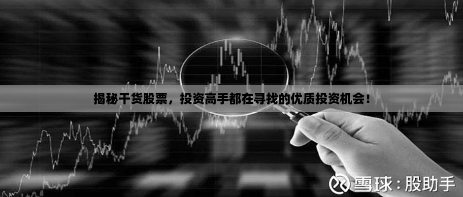 揭秘干貨股票，投資高手都在尋找的優(yōu)質(zhì)投資機會！