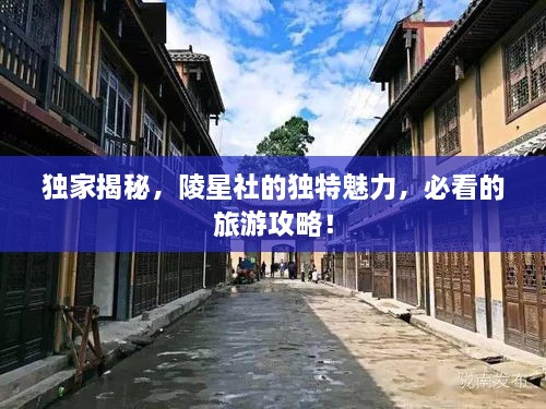 獨(dú)家揭秘，陵星社的獨(dú)特魅力，必看的旅游攻略！