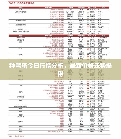 種鴨蛋今日行情分析，最新價格走勢揭秘