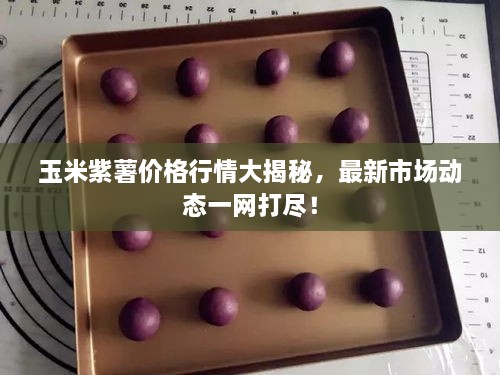 玉米紫薯價格行情大揭秘，最新市場動態(tài)一網(wǎng)打盡！