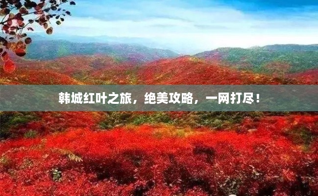 韓城紅葉之旅，絕美攻略，一網(wǎng)打盡！
