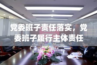 黨委班子責(zé)任落實，黨委班子履行主體責(zé)任的建議 