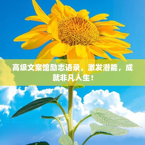 高級(jí)文案館勵(lì)志語錄，激發(fā)潛能，成就非凡人生！