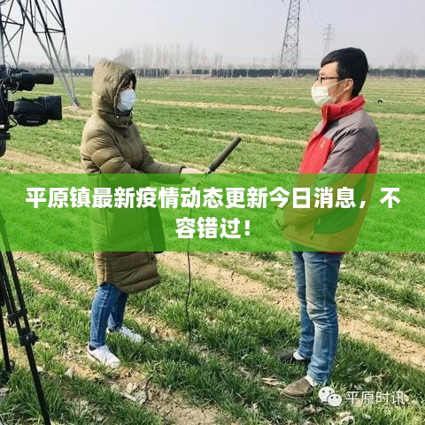 平原鎮(zhèn)最新疫情動態(tài)更新今日消息，不容錯過！