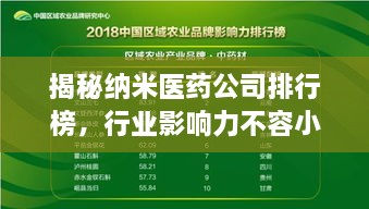 揭秘納米醫(yī)藥公司排行榜，行業(yè)影響力不容小覷！