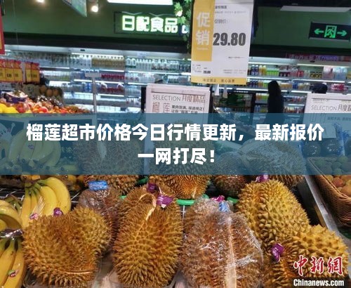 榴蓮超市價(jià)格今日行情更新，最新報(bào)價(jià)一網(wǎng)打盡！