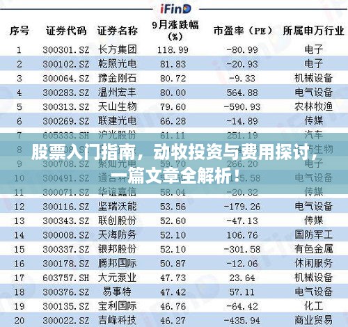 股票入門指南，動(dòng)牧投資與費(fèi)用探討，一篇文章全解析！
