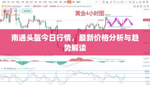 南通頭盔今日行情，最新價(jià)格分析與趨勢(shì)解讀