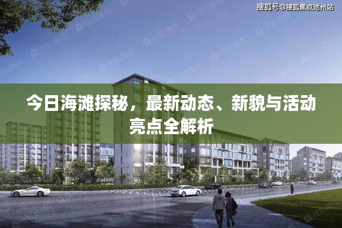 今日海灘探秘，最新動態(tài)、新貌與活動亮點(diǎn)全解析