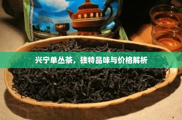 興寧單叢茶，獨(dú)特品味與價(jià)格解析