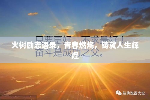 火樹勵志語錄，青春燃燒，鑄就人生輝煌
