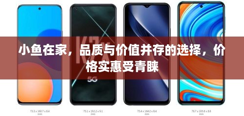 小魚在家，品質(zhì)與價值并存的選擇，價格實惠受青睞