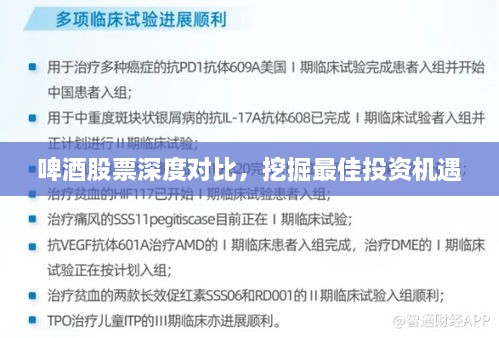 啤酒股票深度對比，挖掘最佳投資機(jī)遇