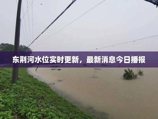 東荊河水位實(shí)時(shí)更新，最新消息今日播報(bào)
